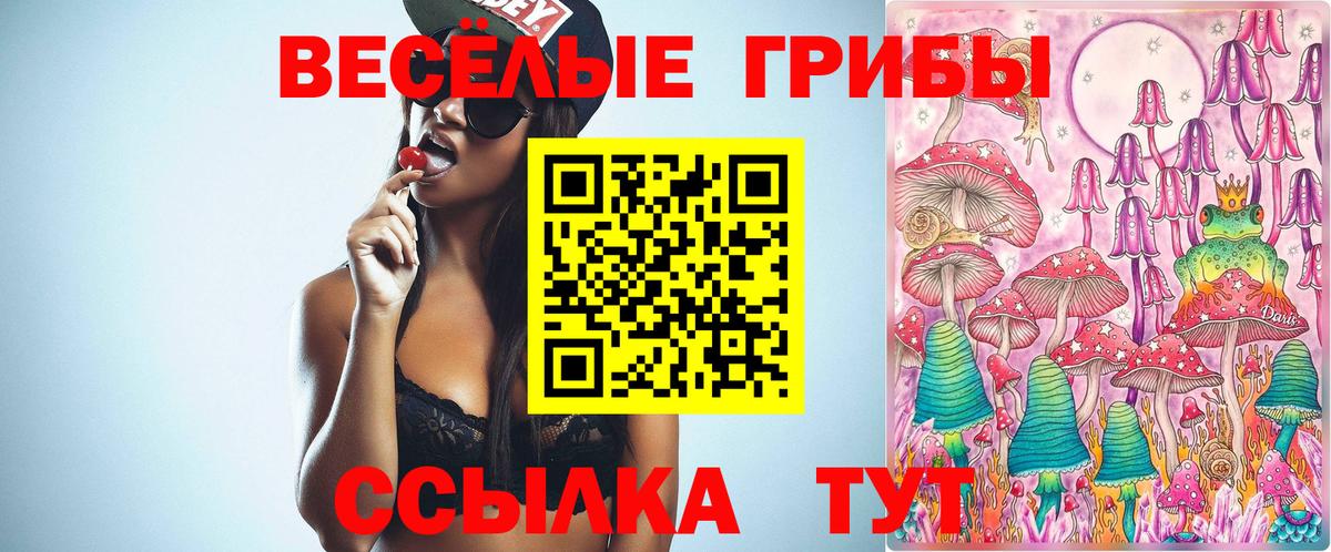 Рузаевка  Псилоцибиновые грибы прущие грибы  Вход с VPN 